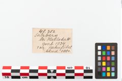 Foto von Bronzekahnfibel (NHMW-PRAE-048352)